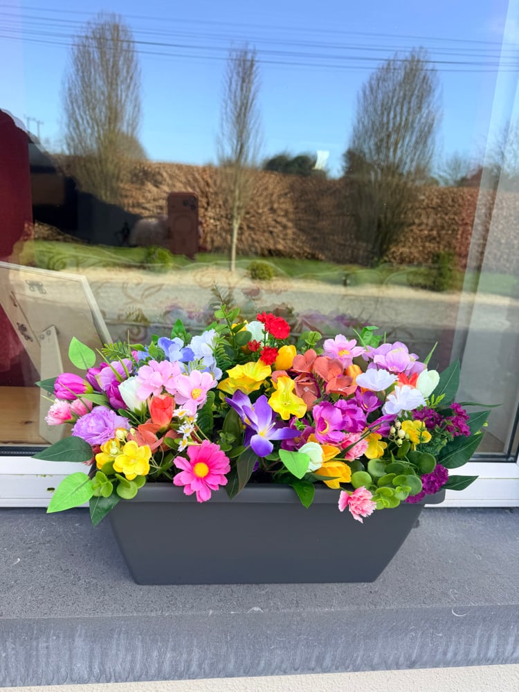 Image of Window Boxes 