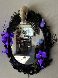 Image 5 of Big inky cap mirror led 