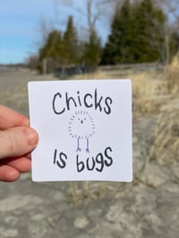 Image 1 of “Chicks is Bugs” sticker 