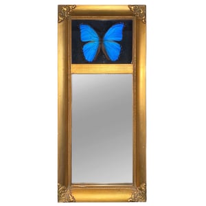 Image of Blue Morpho Mirror