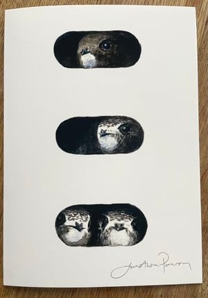 Image of Signed swifts at nest box entrance card/print