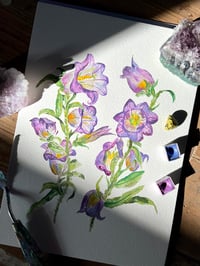 Image 1 of "Campanula" Original