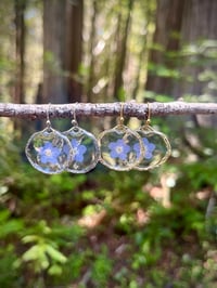 Image 1 of Forever Bloom Earrings 