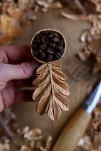 Image 9 of Oak Leaf-Coffee Sccop 