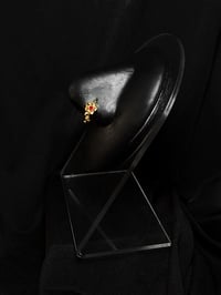 Image 3 of RED EYE FLOWER 