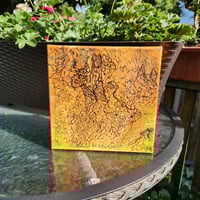 Image 2 of Can You See Me? 8x8"