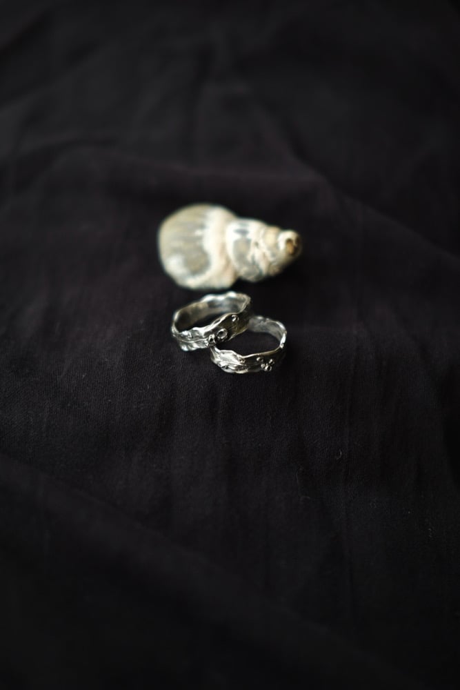 Image of Gwymon ring ~ Size S