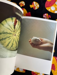 Image 6 of Utatane, Rinko Kawauchi, 2001