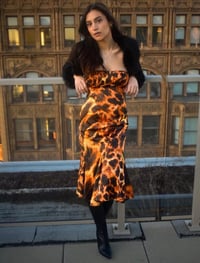 Image 2 of Roberto Cavalli Animal Print Dress
