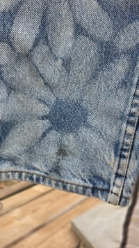 Image 4 of Denim Daisies