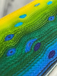 Image 6 of Mahi Mahi Thin by Mikie
