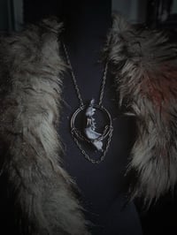 Image 3 of Opossum jaw 