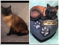 Image 4 of Custom Engraved Handpainted Cat On Pawprint Rock Urn 