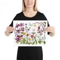 Image 10 of Garden Fireworks- Poster Print