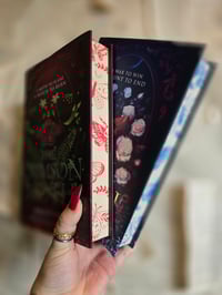 Image 3 of Kristen Ciccarelli | The Crimson Moth Duo | Hardback 
