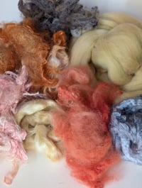 Image 2 of Regal Moth Inspired Fiber Kit For Blending, Carding, Spinning, Felting