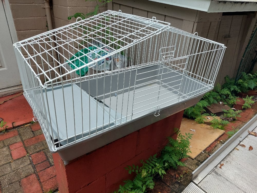 Image of Cage 2