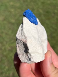 Image 5 of Azurite Suns On Matrix Specimen | NT Australia #2954