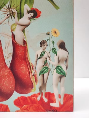 Image of Renacimiento.