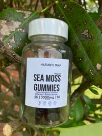 Image 2 of Sea moss gummies 