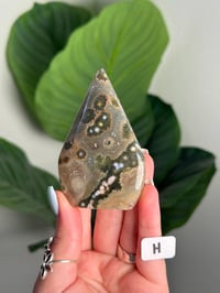 Image 8 of CHOOSE YOUR OWN SEA JASPER FLAME -MADAGASCAR-
