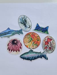 Image 3 of  Rainbow Trout Sticker | Vibrant Fishing Decal | Waterproof Durable Vinyl Art