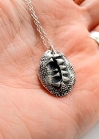 Silver toothed badger