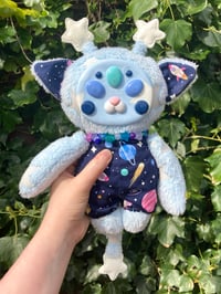 Image 1 of Luna the Space Kitty