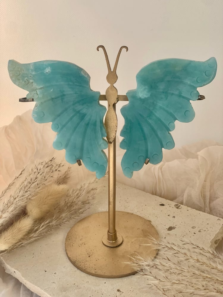 Image of Caribbean Calcite Wings (with stand) 