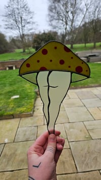Image 2 of Mushroom bum 1