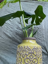 Image 2 of Monstera Deliciosa in Tall Patterned Green Vase