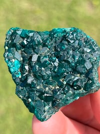 Image 7 of Dioptase Specimen #2214