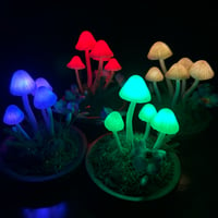 Image 2 of Lil mushroom led