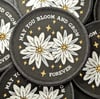 Edelweiss- campfire songbook patch / badge