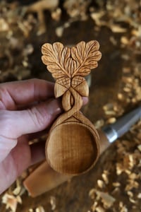 Image 8 of  The Oak and Acorn Special Scoop