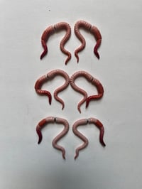 Image 1 of Double sided worm studs