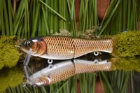 Finesse Floater - Carp/Shiner