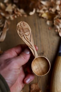 Image 5 of Oak and Acorn  Coffee Scoop 