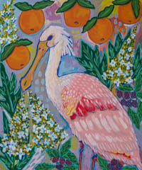 Image 2 of FLA Native Birds Cards | set of 5