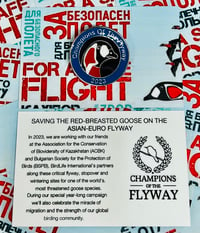 Image 1 of Champions Of The Flyway 2023 Fundraising Badge