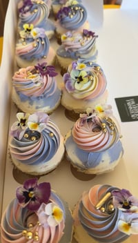 Image 4 of PRETTY LITTLE THINGS - FULL SIZE 12 PACK (Please read description carefully)