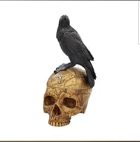 Image 7 of Salems Familiar 27cm