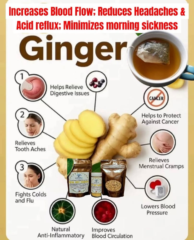 REAL HOT GINGER! Dried Indian Ginger Root-Circulation-Blood Thinner-Digestion-Headache-GERD/Reflux