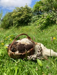 Image 13 of Craft Mentorship Immersion