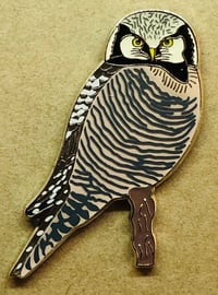 Image 2 of Hawk Owl - August 2021 - Bird Pin Group - Enamel Pin Badge