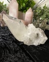 Large Lemurian Cluster