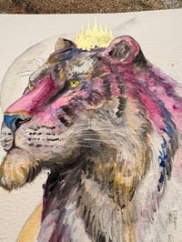 Image 5 of Roi Tigre 