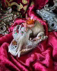 Image 3 of Amber Quartz & Pyrite - Raccoon Skull 