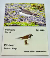 Image 1 of Killdeer No.76 - January 2022 - UK Birding Pins - Enamel Pin Badge