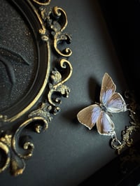 Image 2 of Double butterfly